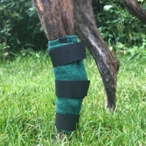 Hunde-Bandage für das Sprunggelenk