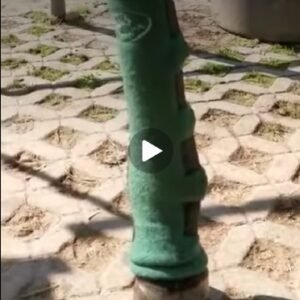 Video zum Anlegen der Gamasche