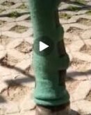 Video zum Anlegen der Gamasche